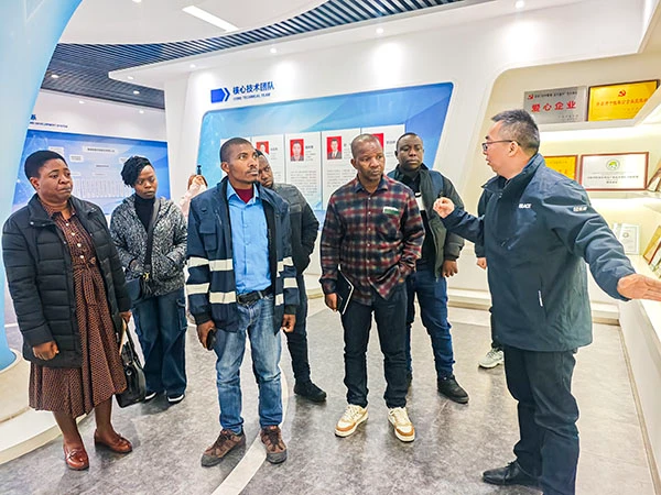 ACE Group and Zimbabwean Clients Chart New Cooperation Blueprint on Asphalt Plants