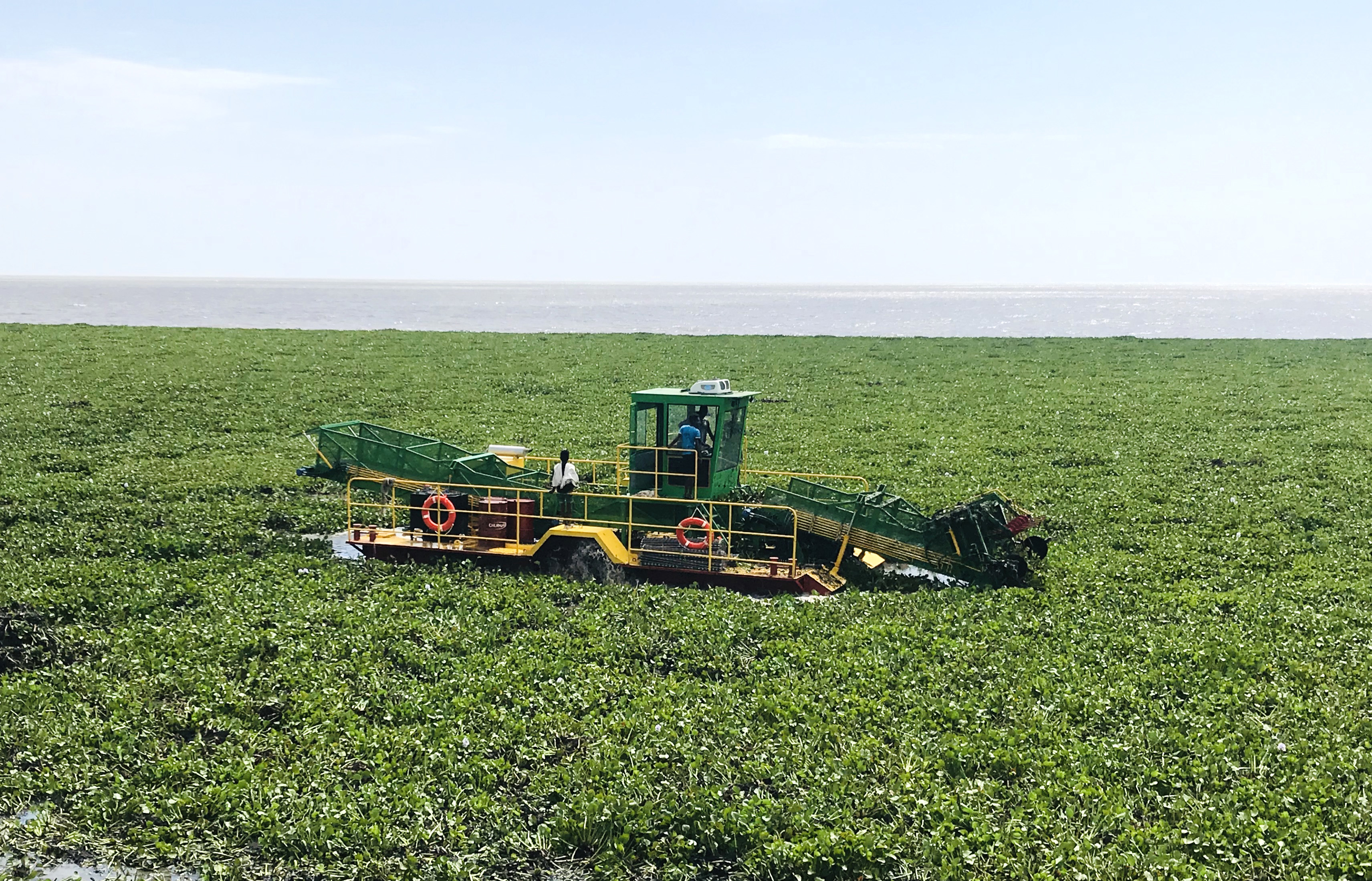 JULONG JLSHLSG110水葫芦收割船 Water surface cleaning equipment